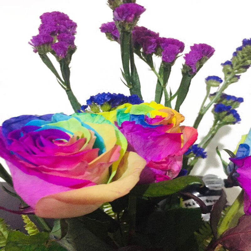 Rainbow Roses in a Vase